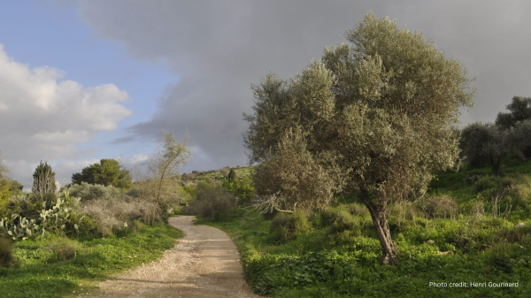 When the Journey Is the Point: What the Emmaus Road Taught Me About My Own by Jeannie McGinnis